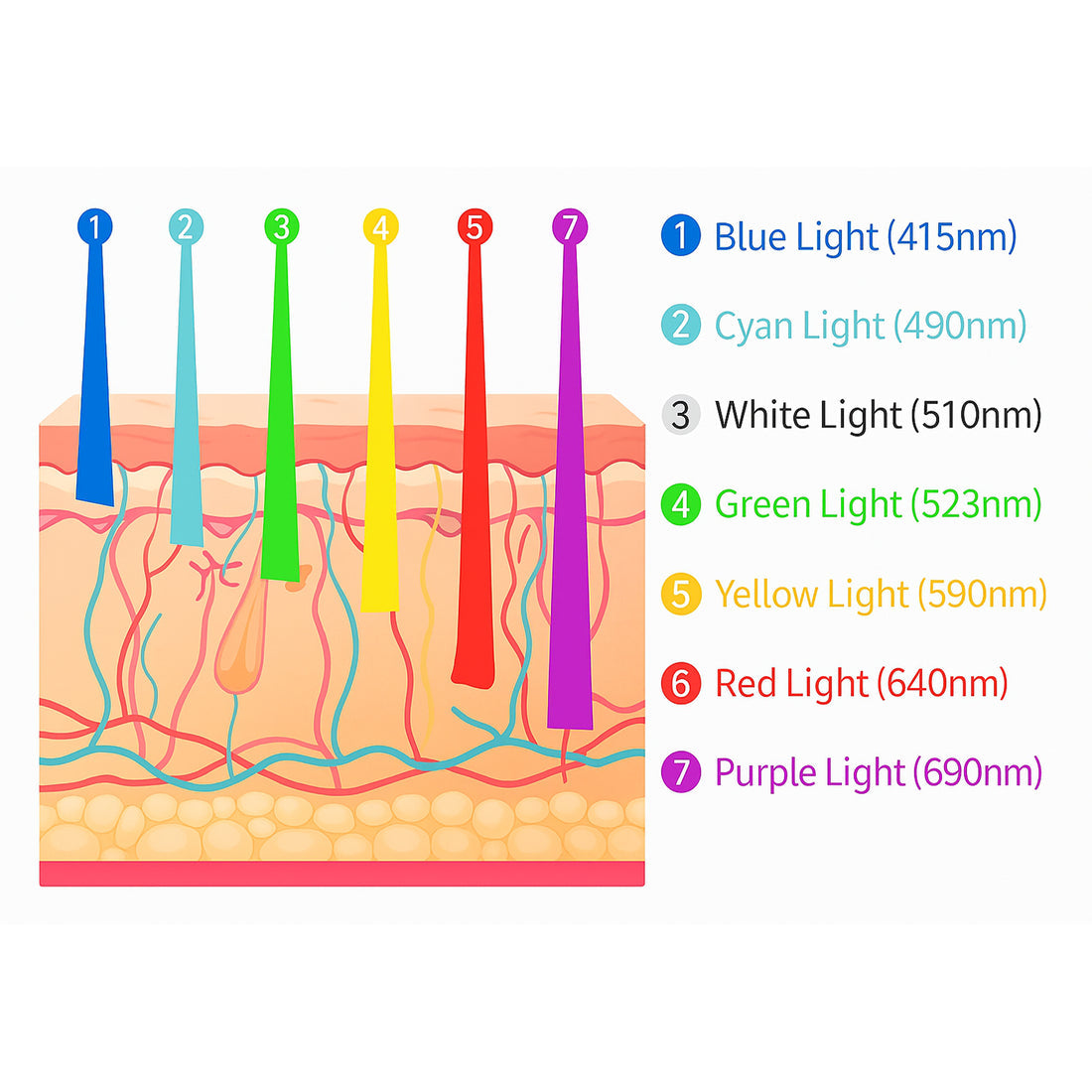 B&B 7-Colour LED Light Therapy Facial Device
