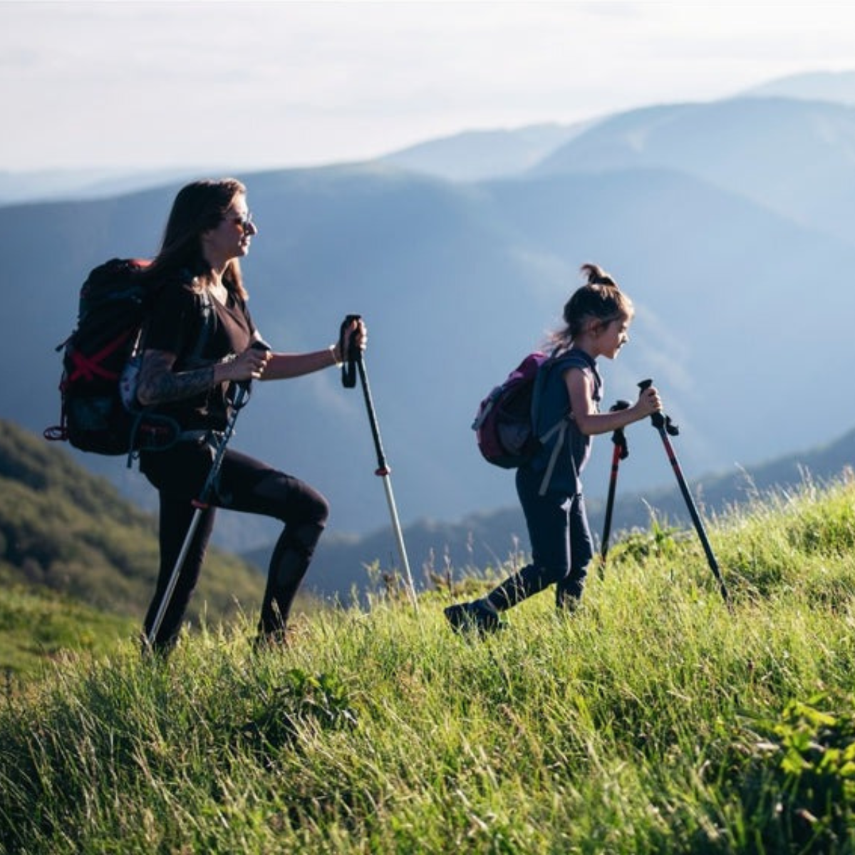 B&B Adjustable Folding Walking Poles | Nordic walking sticks