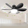Ceiling Fan Light with Remote Control and LED Lamp