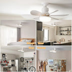 LED Ceiling Fan Light with Remote Control