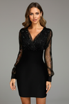 V Neck Mini Dress with Sheer Long Sleeves and Textured Bodice