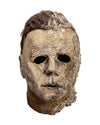 Adults' Serial Killer Full Head Halloween Horror Mask